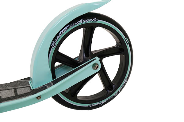 Voetrem op achterwiel