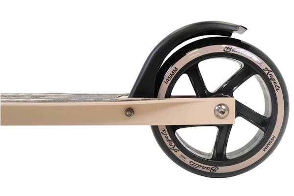 Voetrem op achterwiel