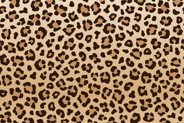 Uitgevoerd in luipaard-motief