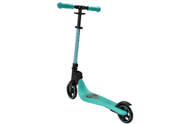 Draagkracht van max. 100 kg.